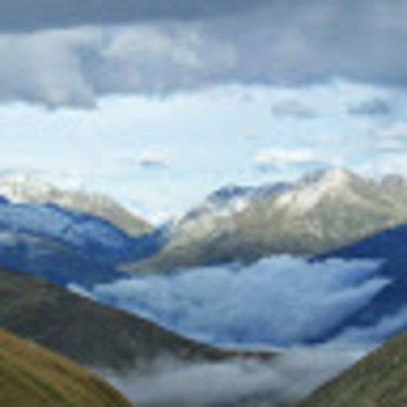 Meet your Posher, R - Picture 1 of 1